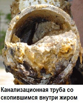 Борьба с засорами путем установки жироуловителя